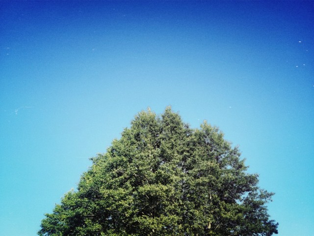 The day was really sunny and hot - and I probably damaged my skin.