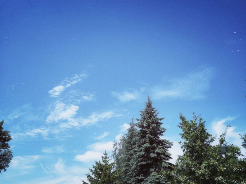 The day was mostly sunny, quite hot - and it was hard to breathe.