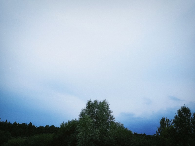 Very stuffy and stormy day. I wish it was easier to breathe, but that's July for you.