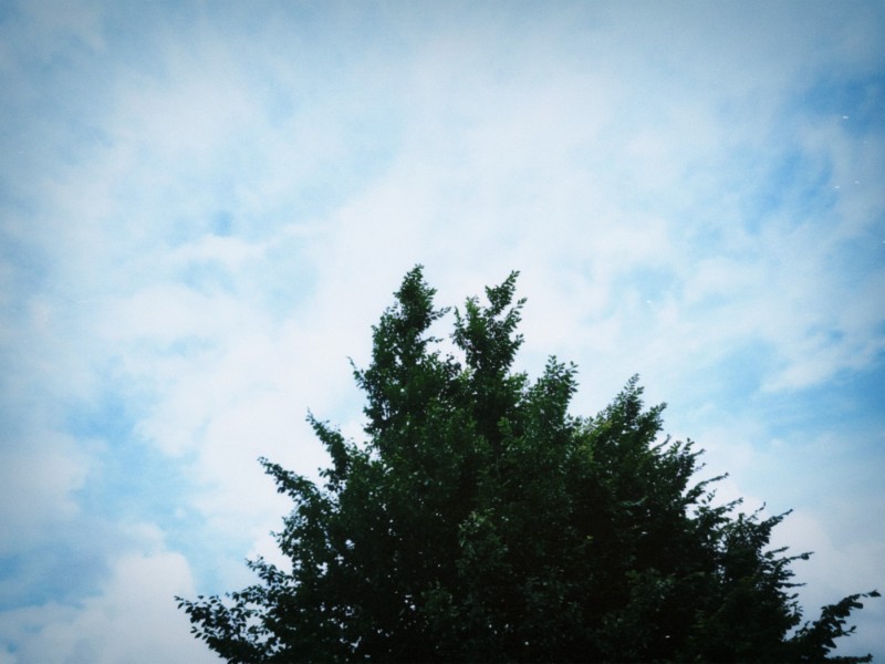 The day was mostly rainy with very little sun in between today's rain periods.
